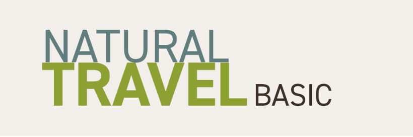 Logo Travel Basic