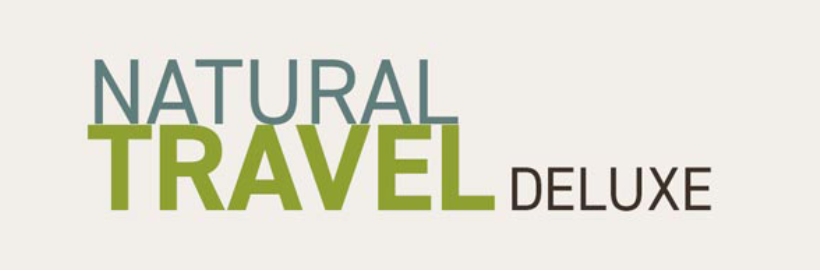 Logo Travel Deluxe